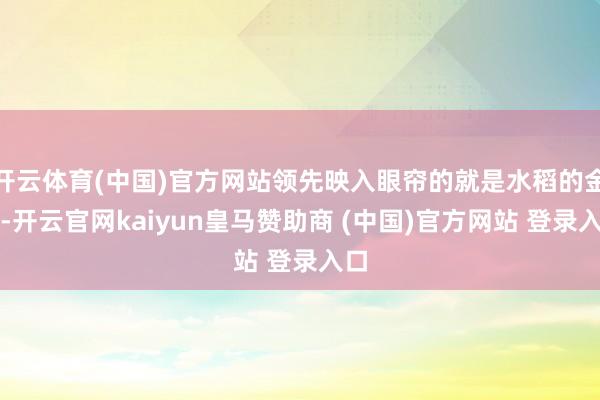 开云体育(中国)官方网站领先映入眼帘的就是水稻的金黄-开云官网kaiyun皇马赞助商 (中国)官方网站 登录入口