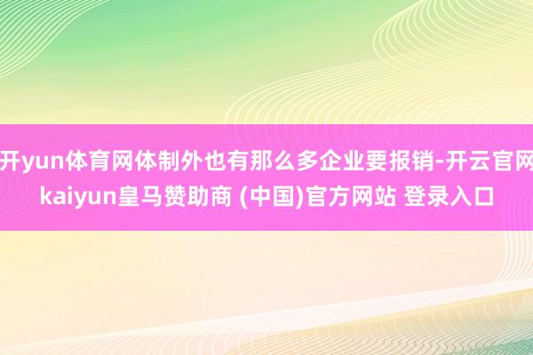 开yun体育网体制外也有那么多企业要报销-开云官网kaiyun皇马赞助商 (中国)官方网站 登录入口
