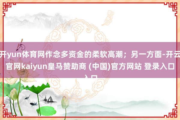 开yun体育网作念多资金的柔软高潮；另一方面-开云官网kaiyun皇马赞助商 (中国)官方网站 登录入口