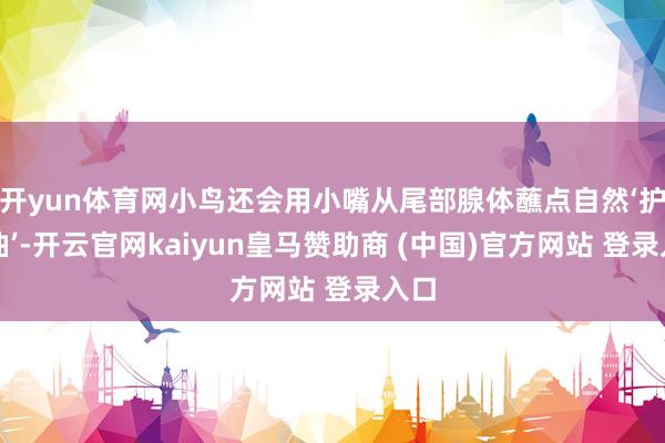 开yun体育网小鸟还会用小嘴从尾部腺体蘸点自然‘护羽油’-开云官网kaiyun皇马赞助商 (中国)官方网站 登录入口