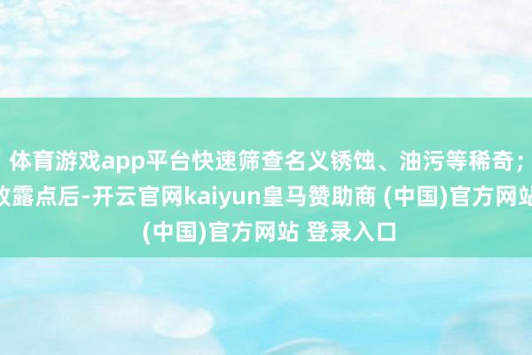 体育游戏app平台快速筛查名义锈蚀、油污等稀奇；发现疑似败露点后-开云官网kaiyun皇马赞助商 (中国)官方网站 登录入口
